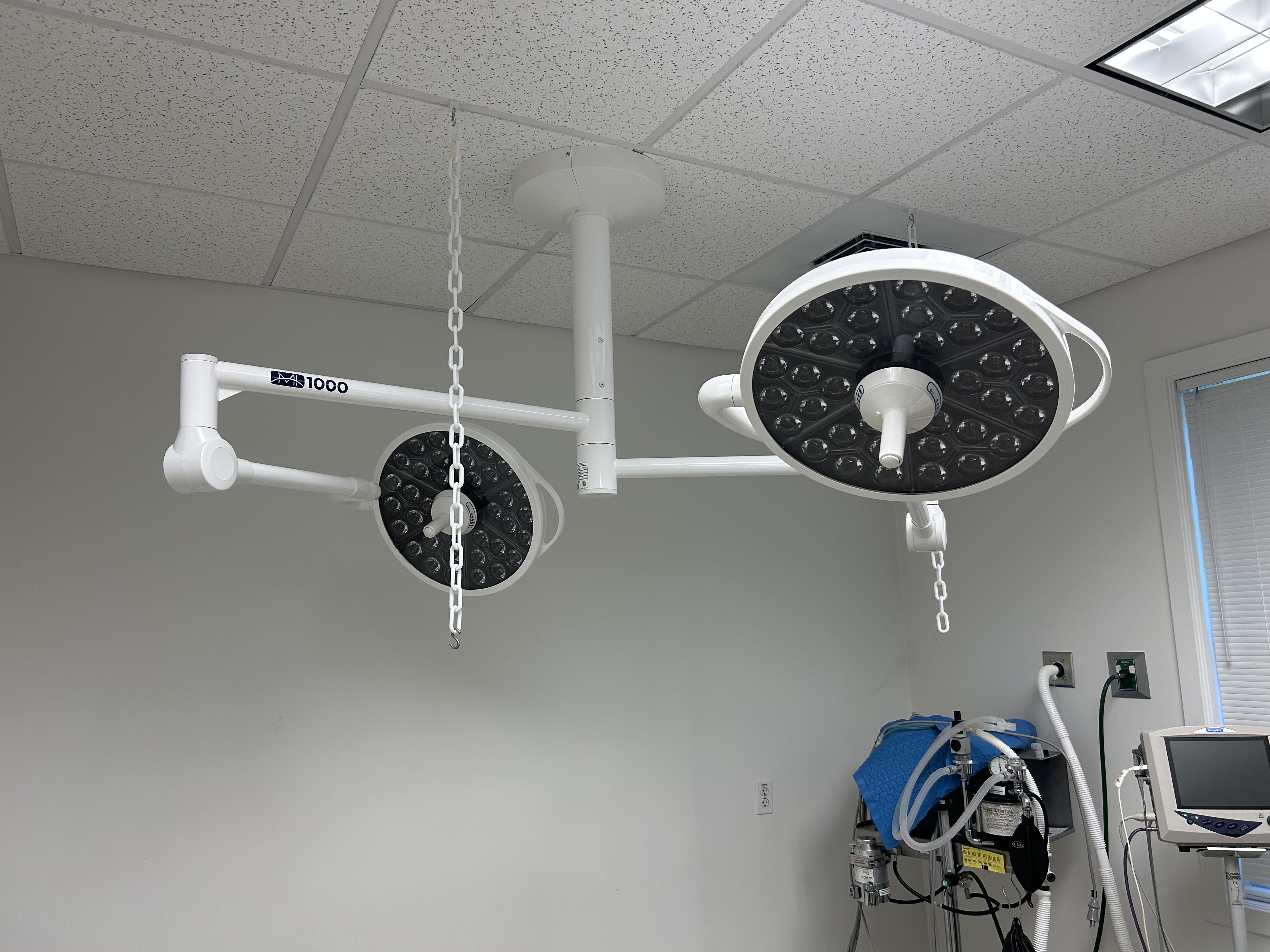 Veterinary surgical lighting